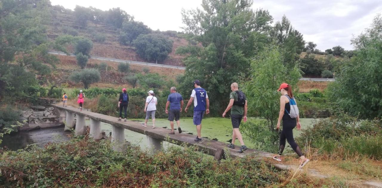 Willa Casa Porta De Santiago Pinhel Zewnętrze zdjęcie